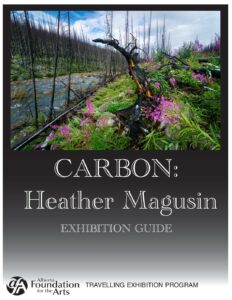 CARBON_Exhibition Guide