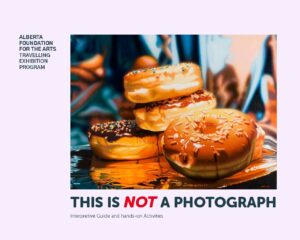 This_is_NOT_a_Photograph_Education_Guide_(web)