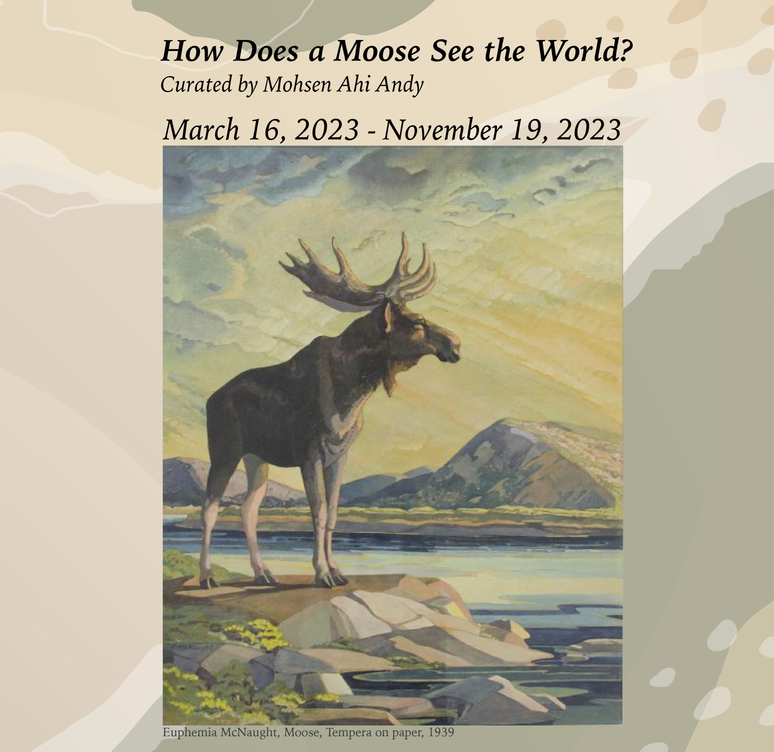 How Does a Moose See the World?