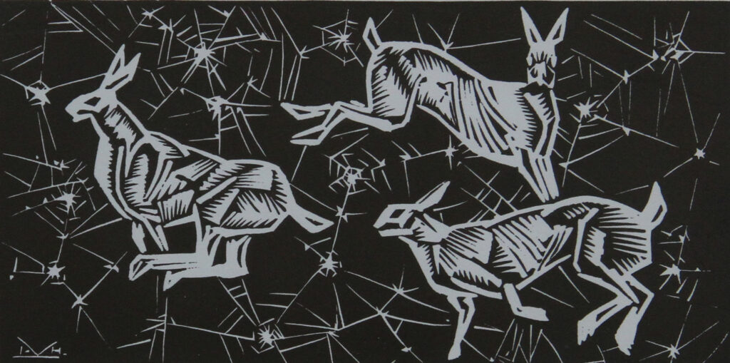 Artic Hare - Illingworth H. Kerr