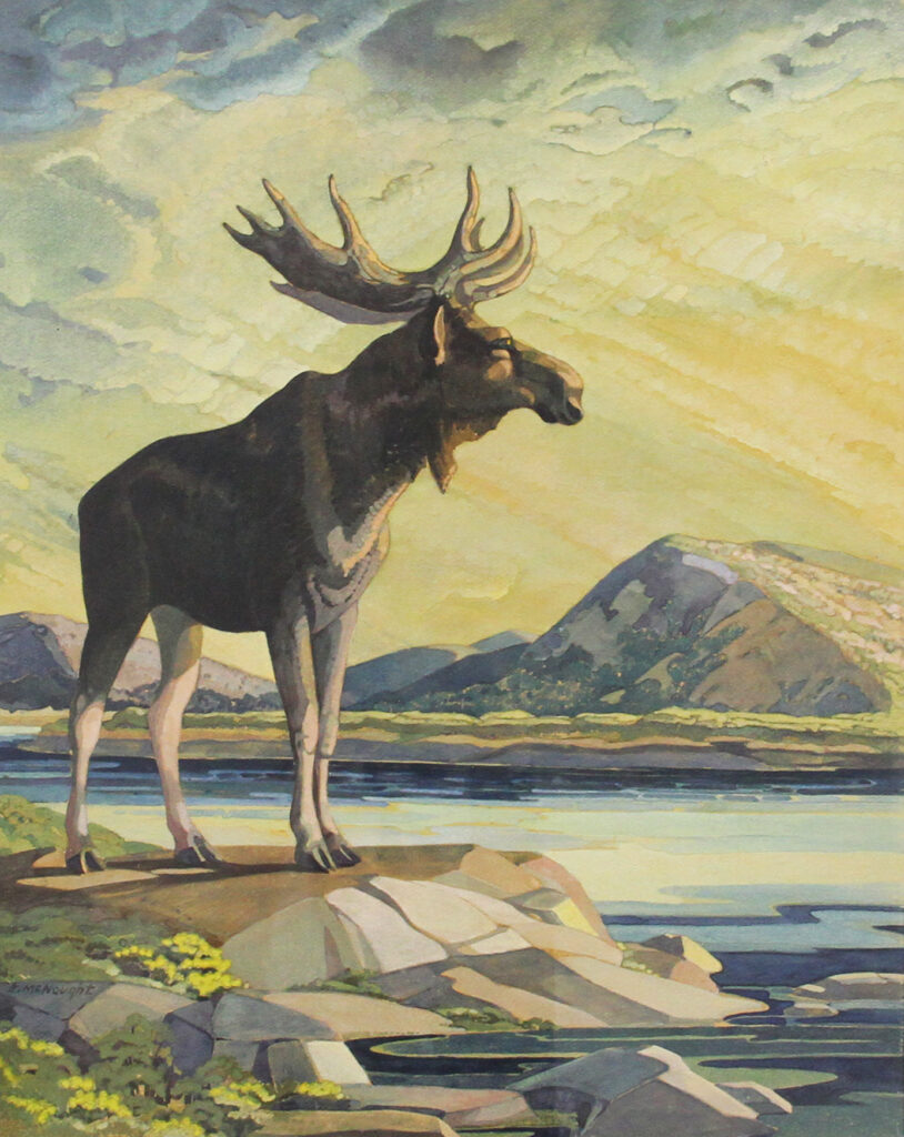 Moose - Hudson Hope - Euphemia McNaught