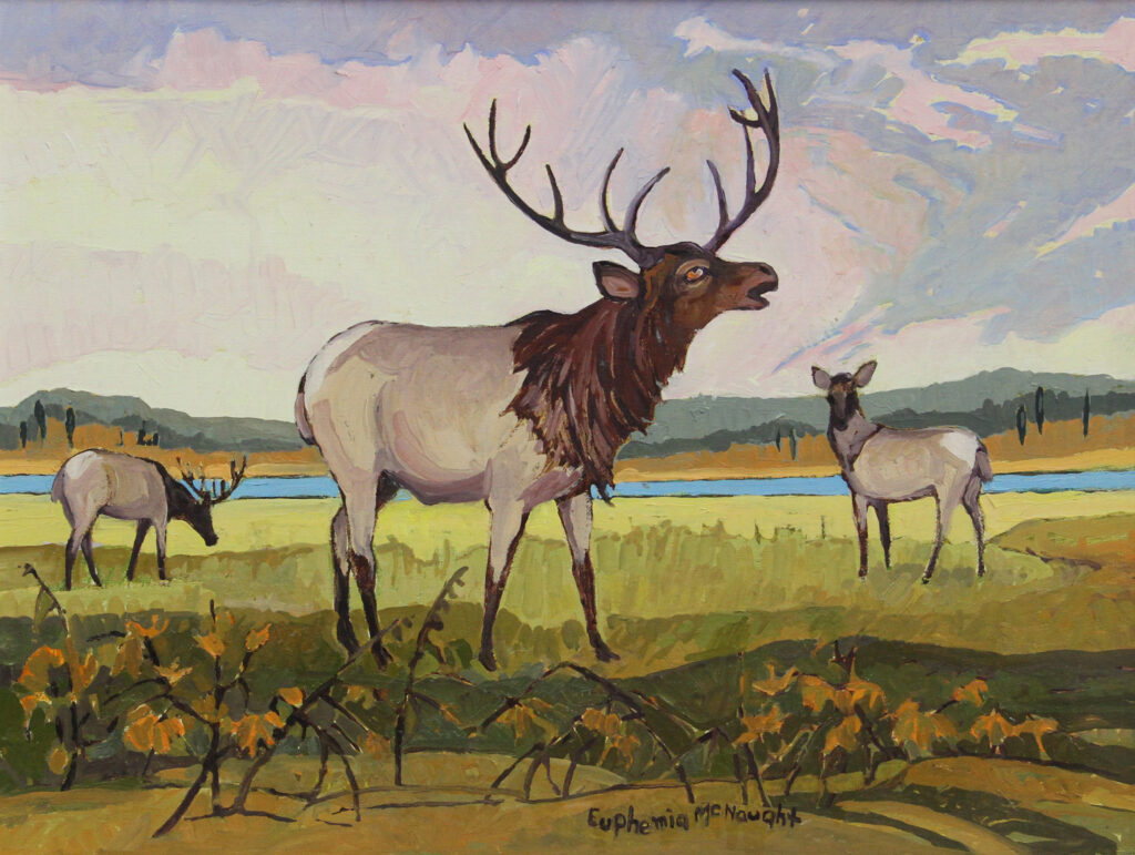 Our Wilderness Sanctuary-Elk-Euphemia-McNaught