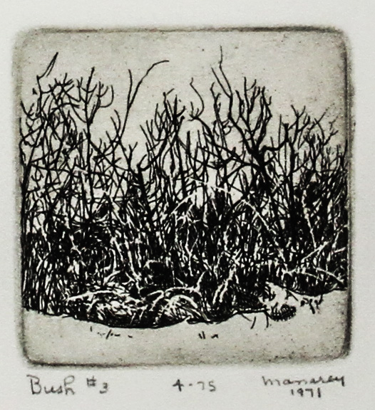 Bush #3 - Thelma Manarey