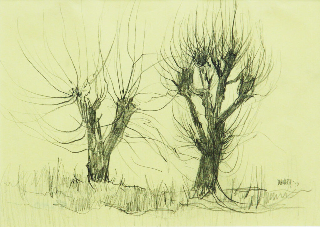 Growing Tree Stumps - Thelma Manarey