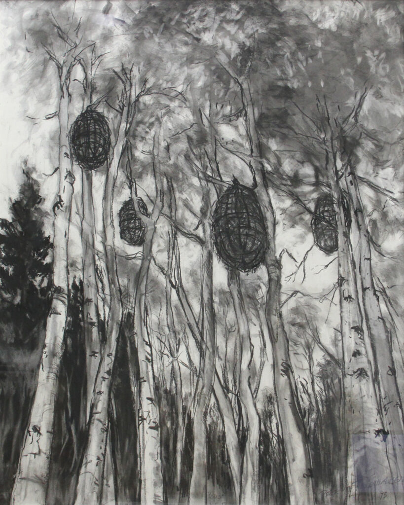Pods - Peter Von Tiesenhausen